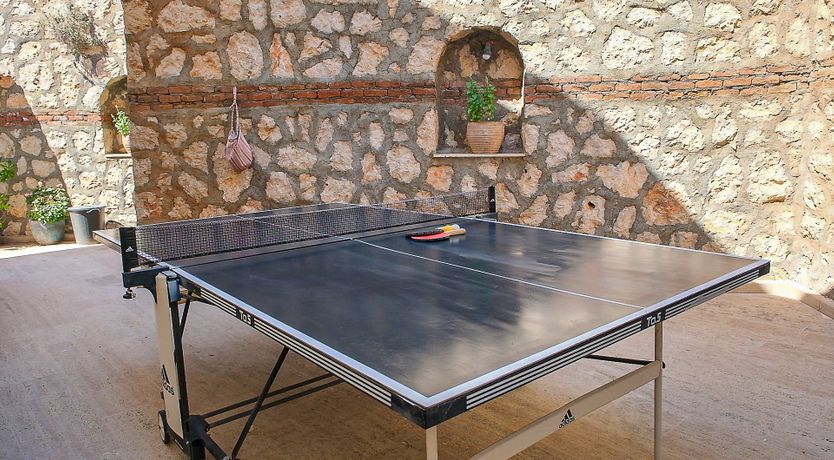 Photo of Olive Tree Sunset