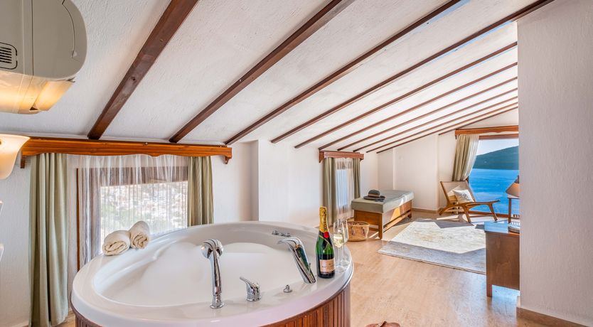 Photo of Olive Tree Sunset