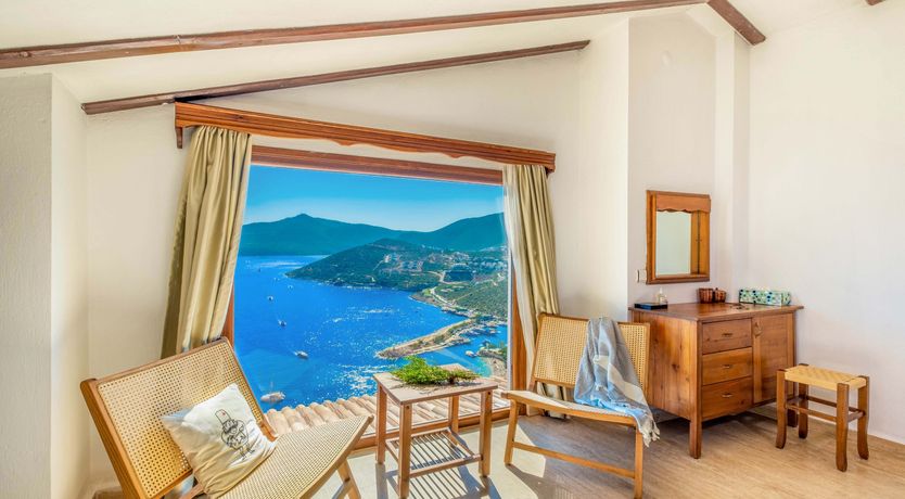 Photo of Olive Tree Sunset