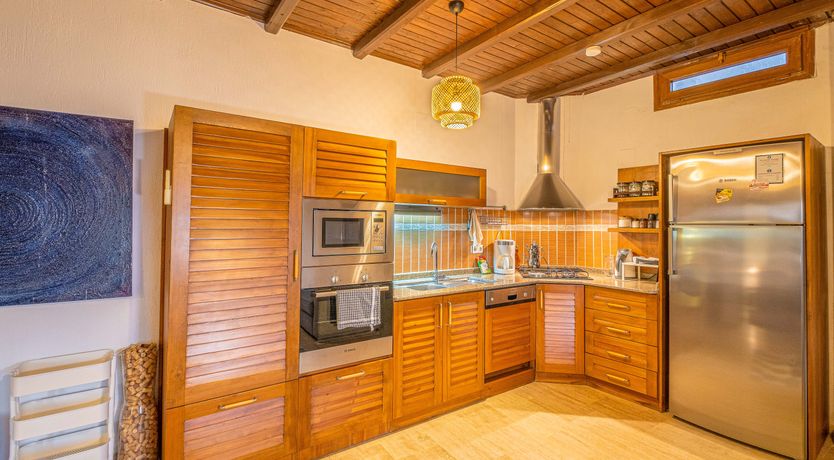 Photo of Olive Tree Sunset