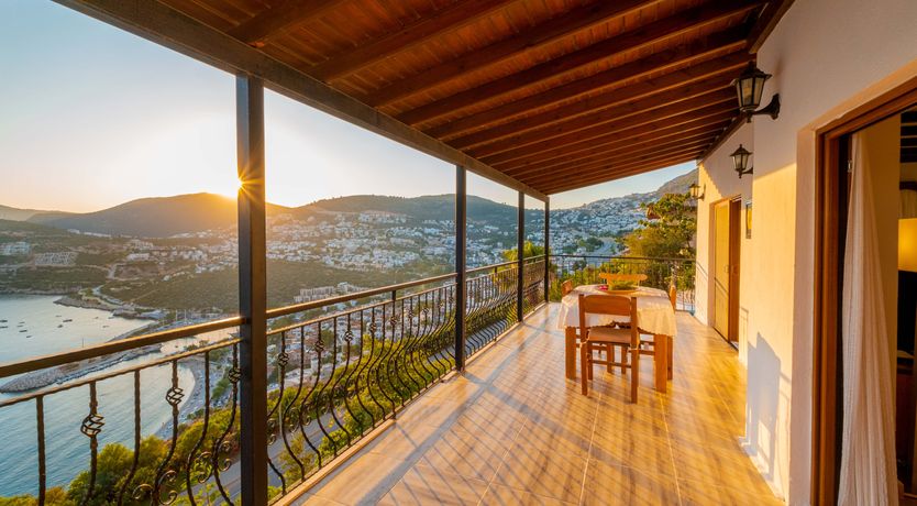 Photo of Olive Tree Sunset