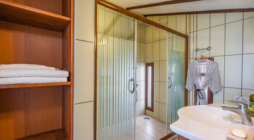 Photo of Olive Tree Sunset