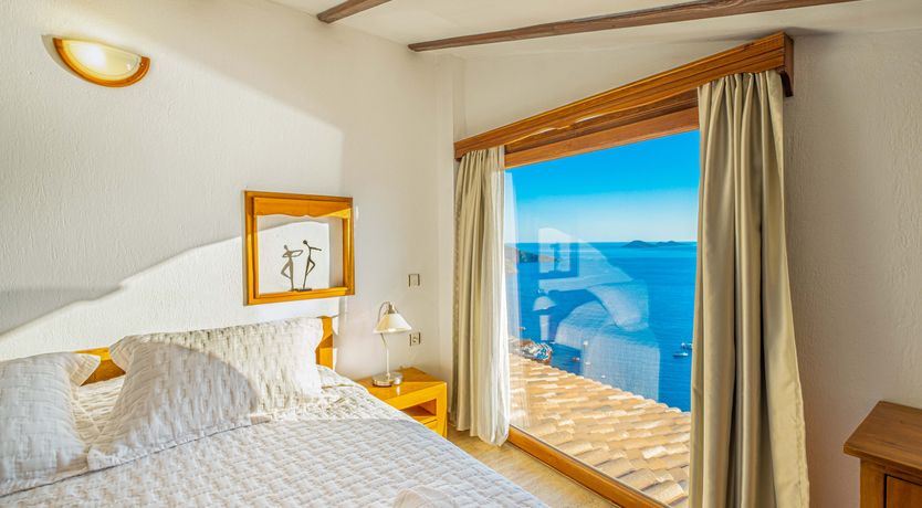 Photo of Olive Tree Sunset