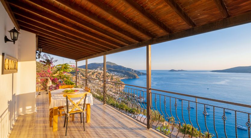 Photo of Olive Tree Sunset