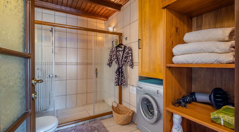 Photo of Olive Tree Sunset