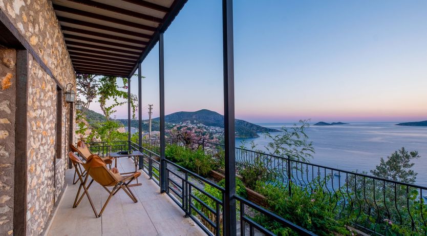 Photo of Olive Tree Sunset