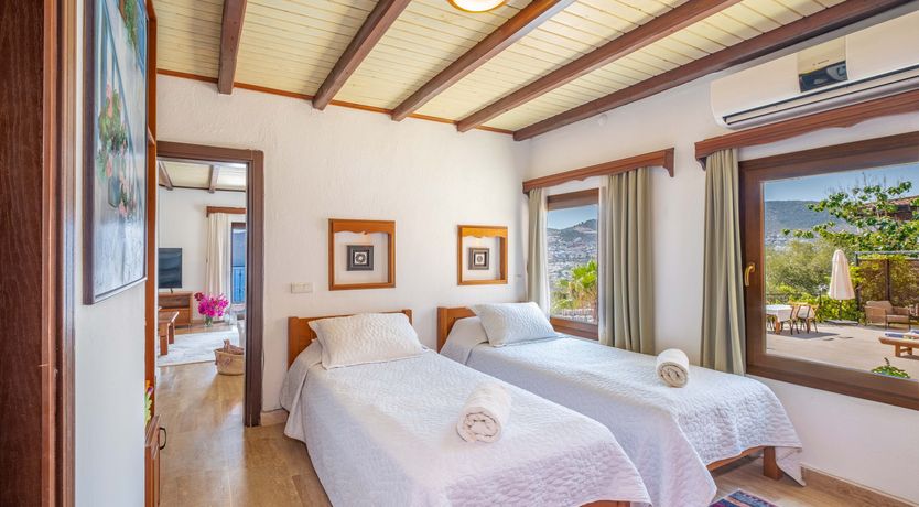 Photo of Olive Tree Sunset