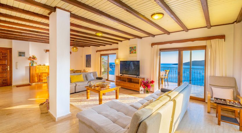 Photo of Olive Tree Sunset