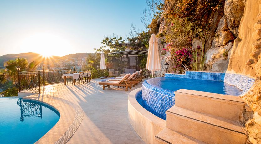 Photo of Olive Tree Sunset