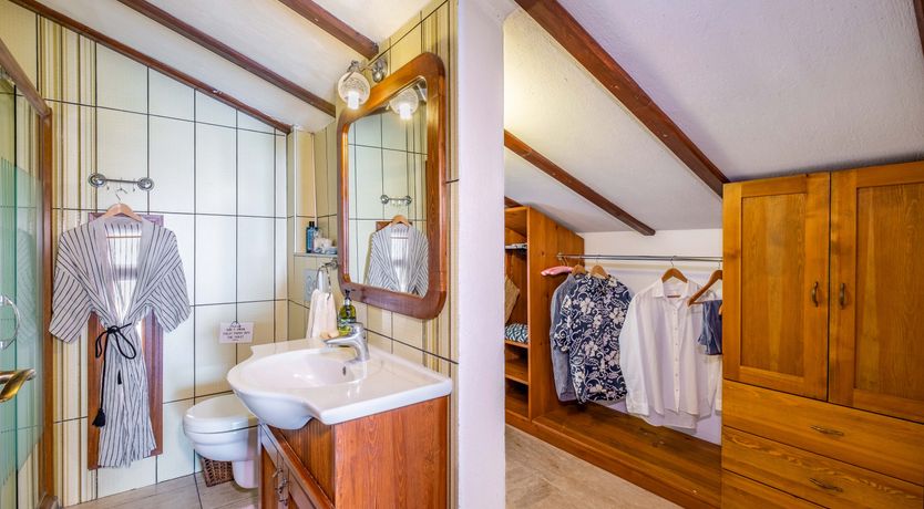 Photo of Olive Tree Sunset