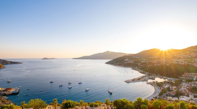 Photo of Olive Tree Sunset