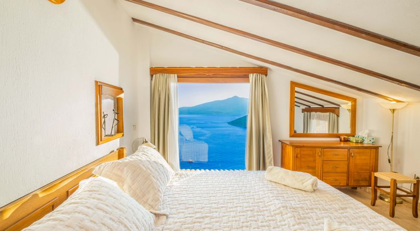 Photo of Olive Tree Sunset