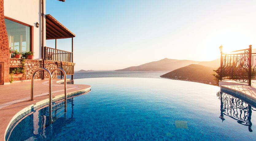 Photo of Olive Tree Sunset