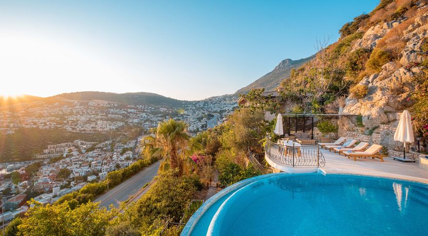 Photo of Olive Tree Sunset