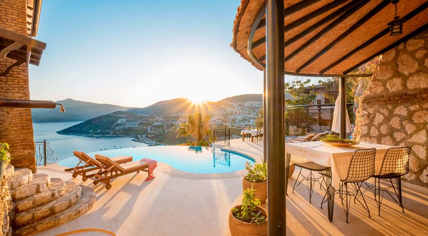 Photo of Olive Tree Sunset