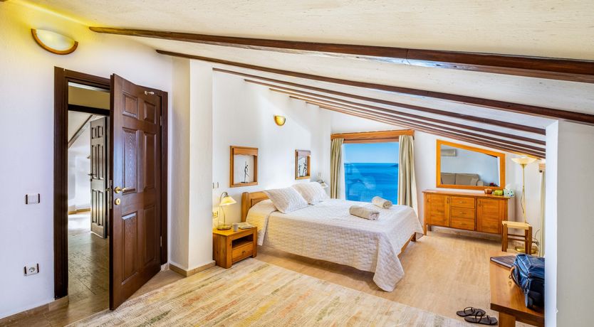 Photo of Olive Tree Sunset