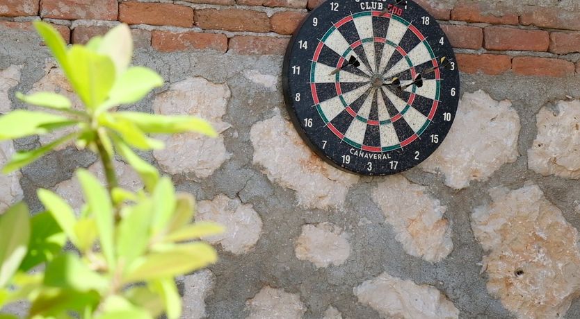 Photo of Olive Tree Sunset
