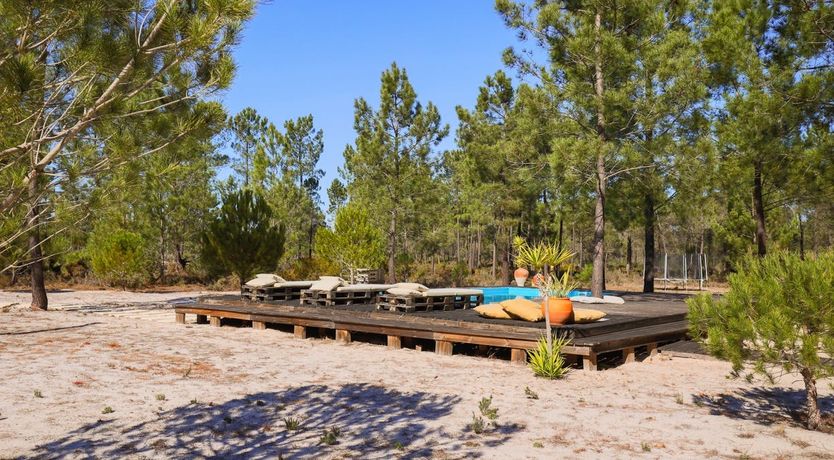 Photo of Fairies of the Forest