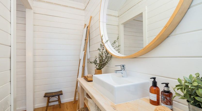 Photo of Fairies of the Forest