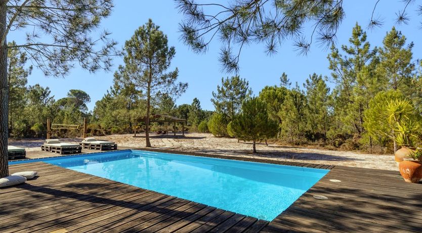 Photo of Fairies of the Forest