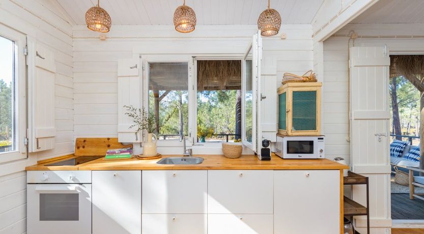 Photo of Fairies of the Forest