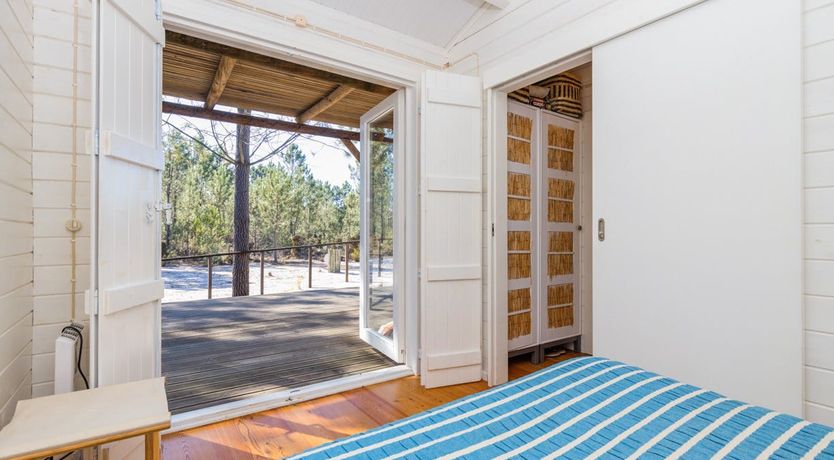 Photo of Fairies of the Forest