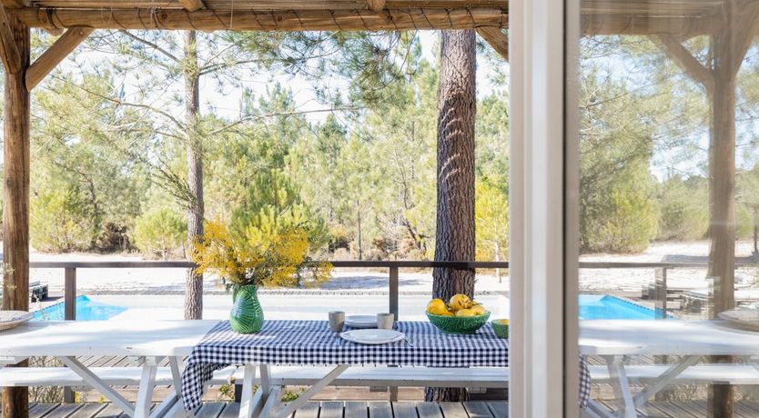 Photo of Fairies of the Forest