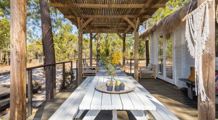 Photo of Fairies of the Forest