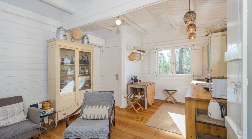 Photo of Fairies of the Forest