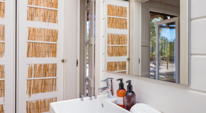 Photo of Fairies of the Forest