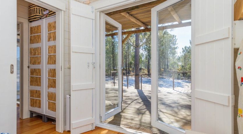 Photo of Fairies of the Forest