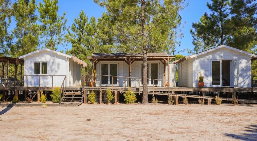 Photo of Fairies of the Forest