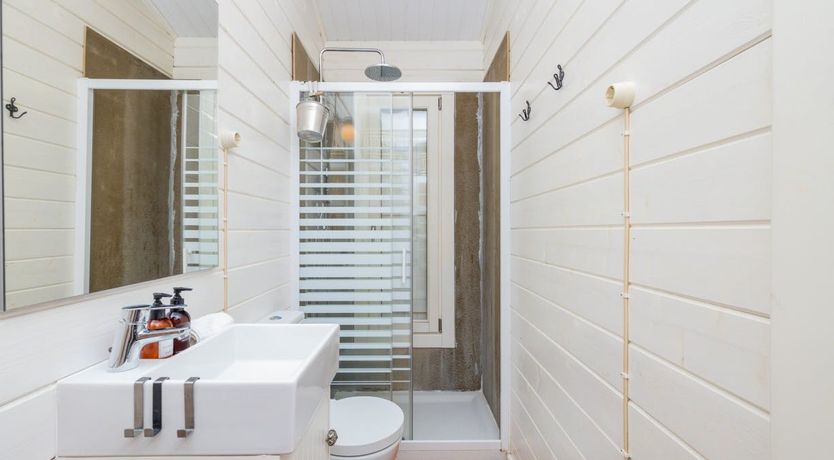 Photo of Fairies of the Forest