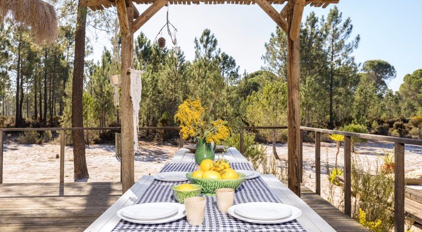 Photo of Fairies of the Forest