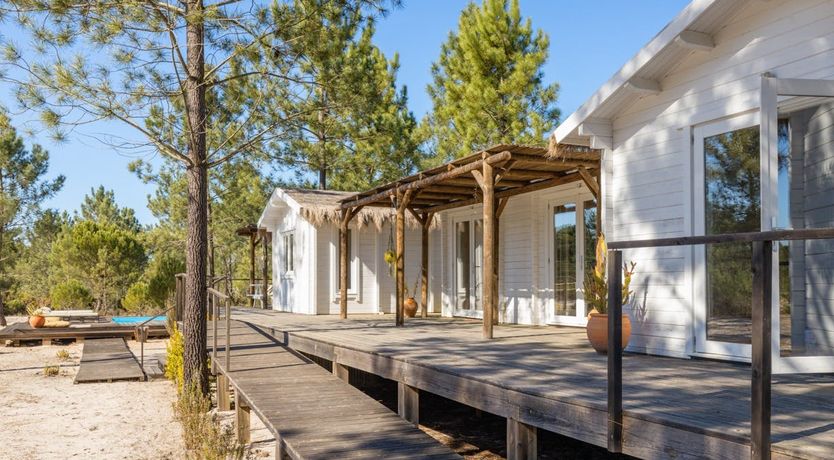 Photo of Fairies of the Forest