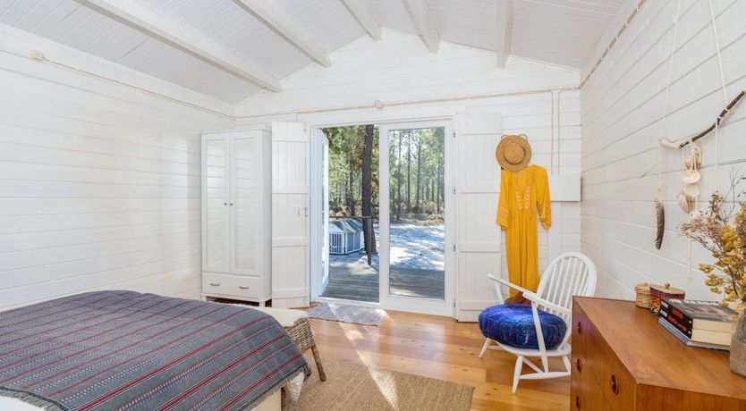 Photo of Fairies of the Forest