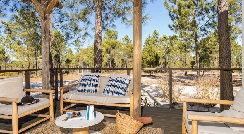 Photo of Fairies of the Forest