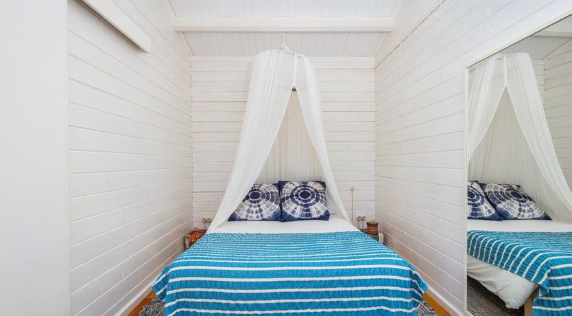 Photo of Fairies of the Forest