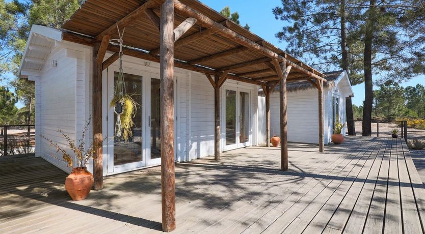 Photo of Fairies of the Forest