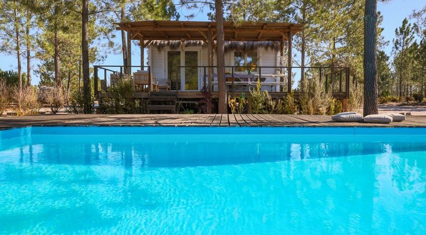 Photo of Fairies of the Forest