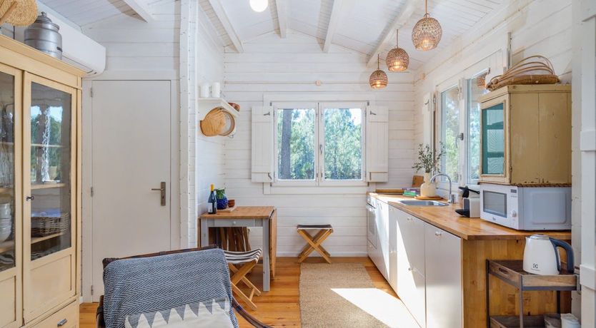 Photo of Fairies of the Forest