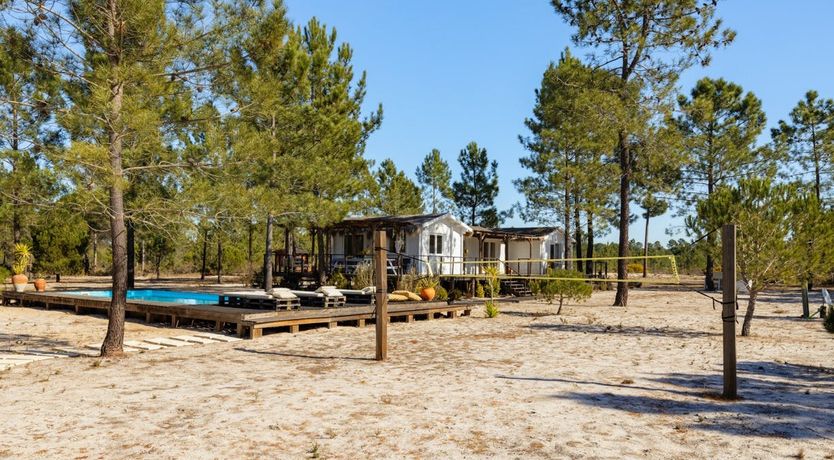 Photo of Fairies of the Forest