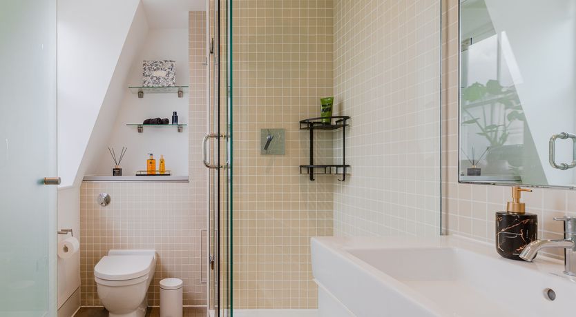 Photo of Markets & Velvet