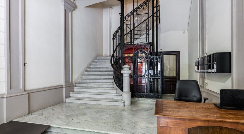 Photo of Plush & Lush