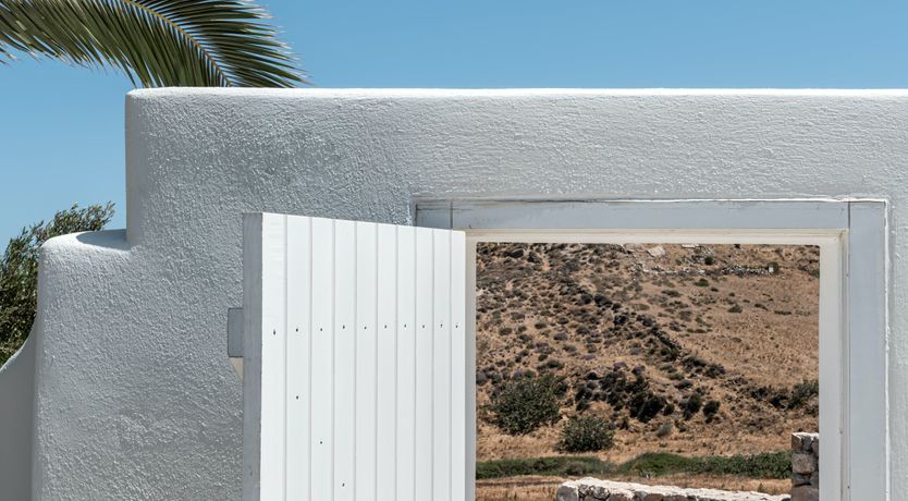 Photo of Olive Fields & Old Coasts