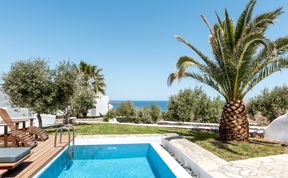 Photo of Olive Fields & Old Coasts