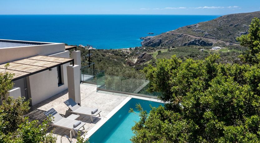 Photo of Flight of the Egret