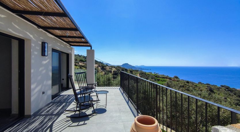 Photo of Flight of the Egret