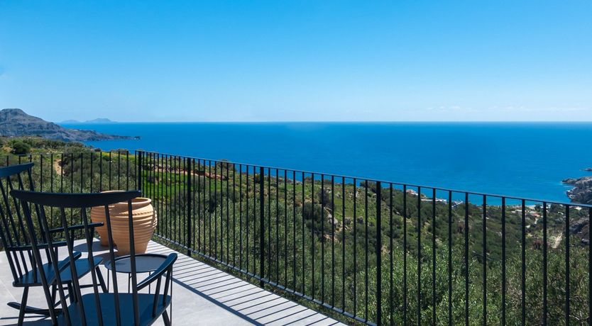 Photo of Flight of the Egret