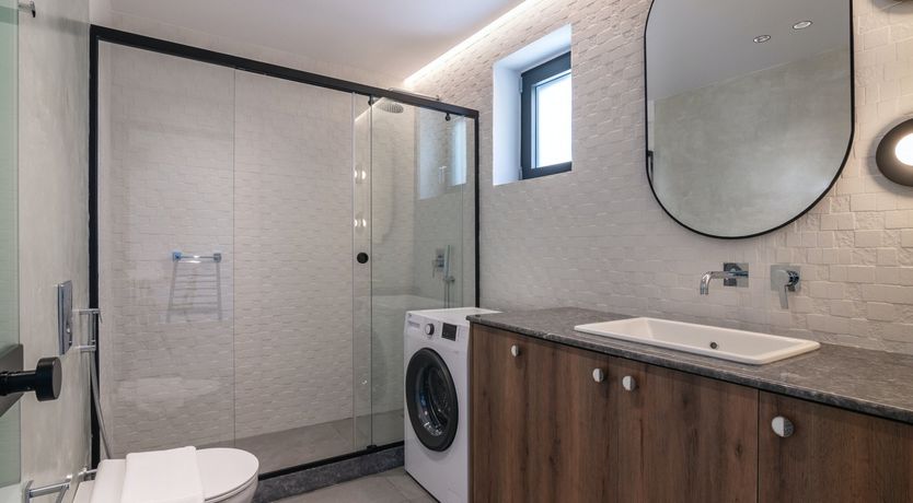 Photo of Flight of the Egret